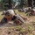 U.S. Air Force Academy BCT Class of 2029 Assault Course