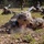 U.S. Air Force Academy BCT Class of 2029 Assault Course