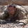 U.S. Air Force Academy BCT Class of 2029 Obstacle Course