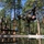 U.S. Air Force Academy BCT Class of 2029 Obstacle Course