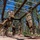 U.S. Air Force Academy BCT Class of 2029 Obstacle Course