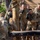 U.S. Air Force Academy BCT Class of 2029 Obstacle Course
