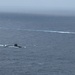 USS Santa Fe (SSN 763) and JMSDF submarine conduct a bilateral exercise