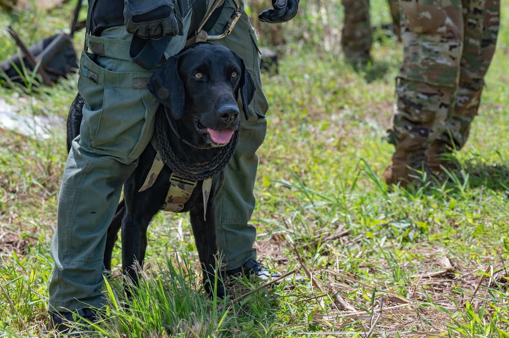 JTF-Bravo support Panamanian K-9 handler hoist operations during PANAMAX-Alpha PH I