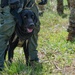 JTF-Bravo support Panamanian K-9 handler hoist operations during PANAMAX-Alpha PH I