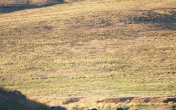 Engineers Construct a Defensive Position During Raven Focus