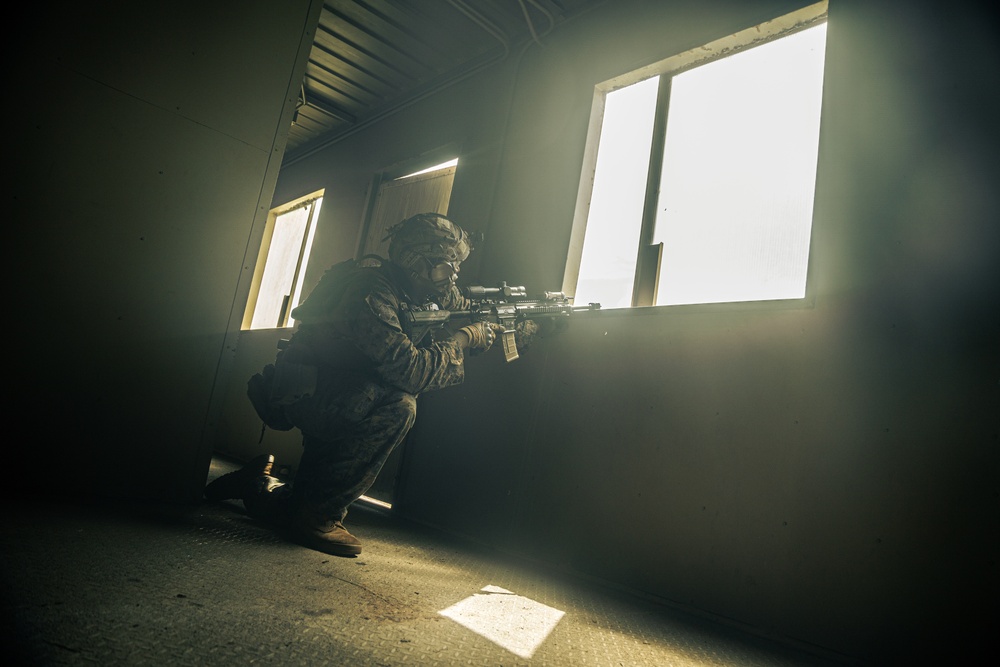 22nd MEU(SOC) | Lima Co. Amphibious Assault During COMPTUEX