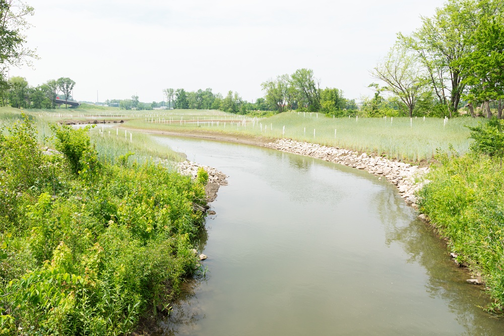 Banking on Wetlands: The Role of Mitigation Credits in Environmental Restoration