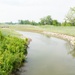 Banking on Wetlands: The Role of Mitigation Credits in Environmental Restoration