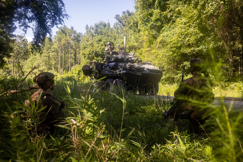 22nd MEU(SOC) | 2nd LAR Conducts Amphibious Assault During COMPTUEX