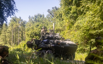 22nd MEU(SOC) | 2nd LAR Conducts Amphibious Assault During COMPTUEX