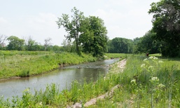 Banking on Wetlands: The Role of Mitigation Credits in Environmental Restoration