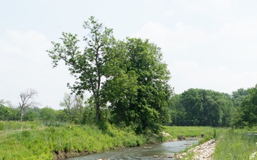 Banking on Wetlands: The Role of Mitigation Credits in Environmental Restoration