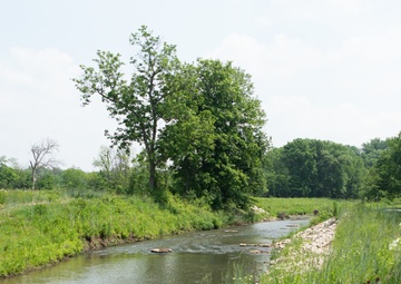 Banking on Wetlands: The Role of Mitigation Credits in Environmental Restoration