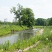 Banking on Wetlands: The Role of Mitigation Credits in Environmental Restoration