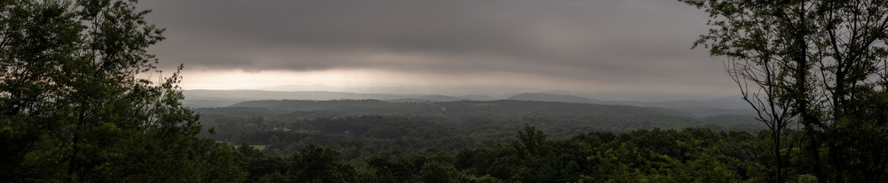 Humid Mornings