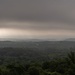 Humid Mornings