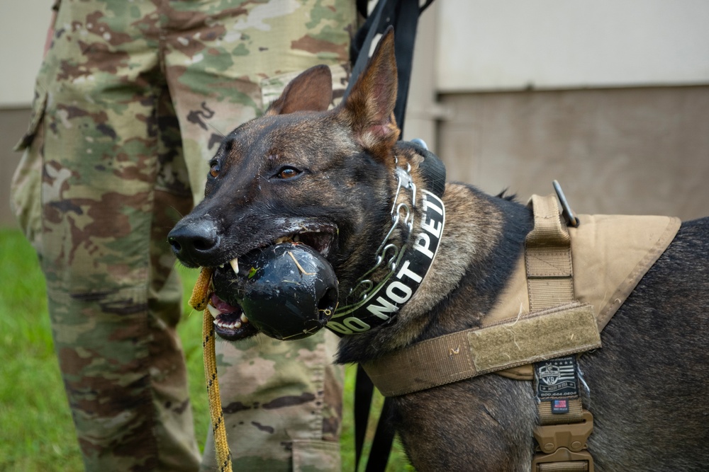 947th K9 of the Capitol Competition
