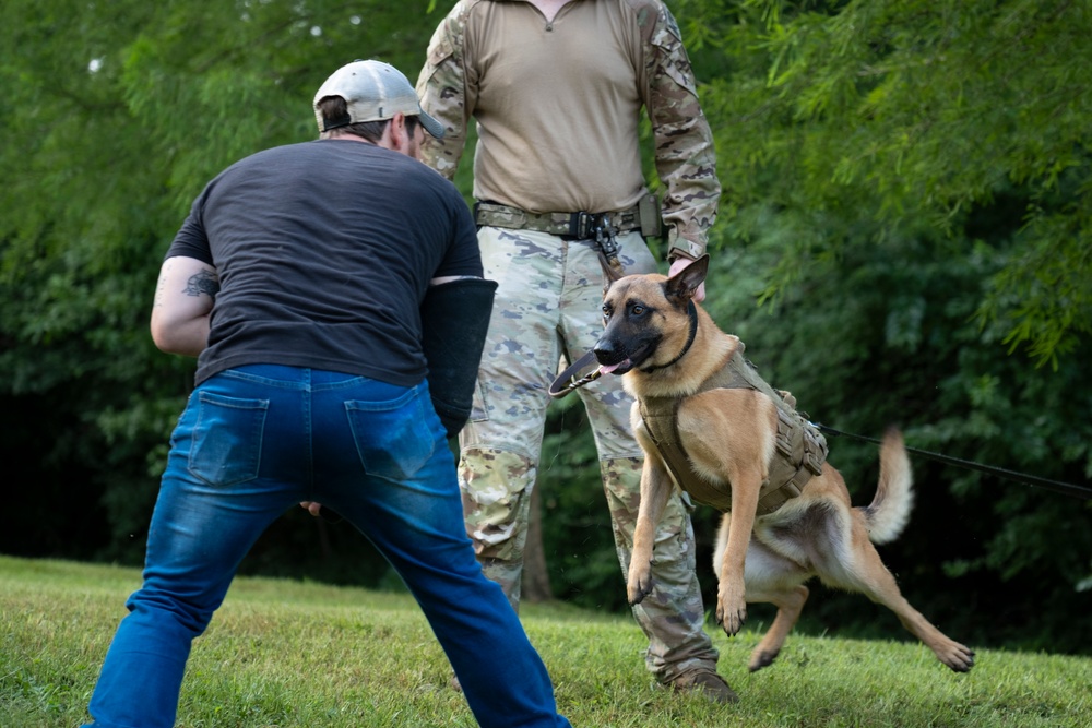 947th K9 of the Capitol Competition