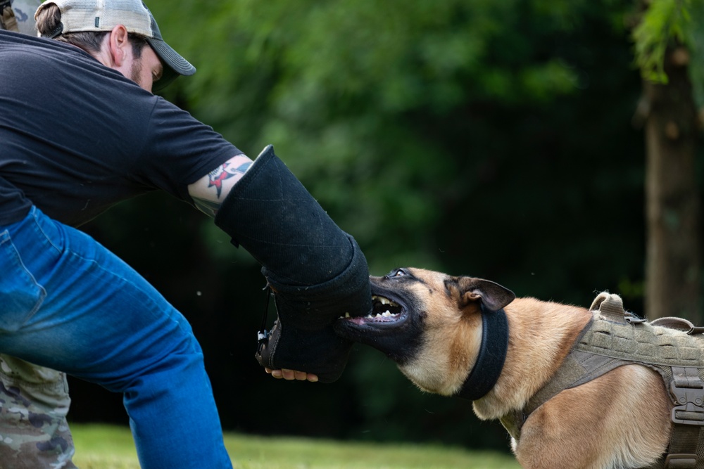 947th K9 of the Capitol Competition