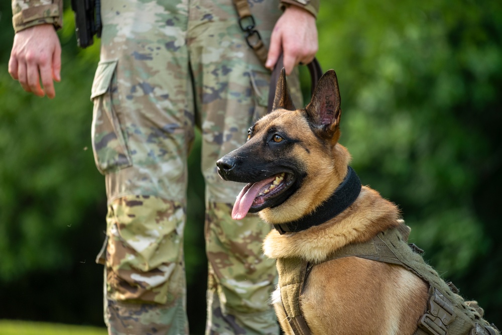 947th K9 of the Capitol Competition