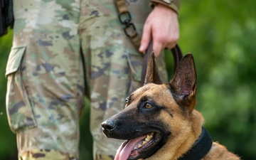 947th K9 of the Capital Competition