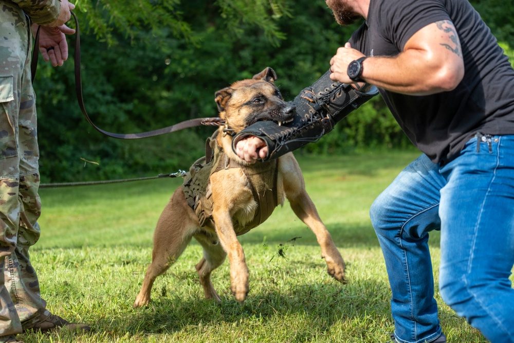 947th K9 of the Capitol Competition