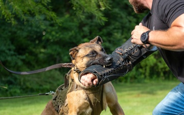 947th K9 of the Capital Competition