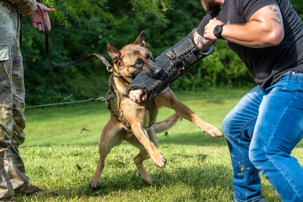 947th K9 of the Capitol Competition