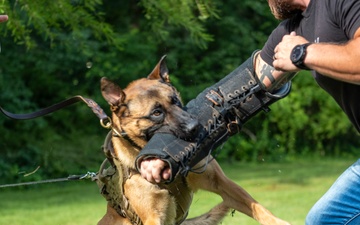 947th K9 of the Capitol Competition