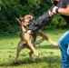 947th K9 of the Capitol Competition
