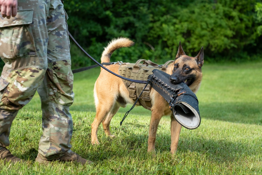 947th K9 of the Capitol Competition