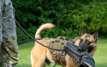947th K9 of the Capital Competition