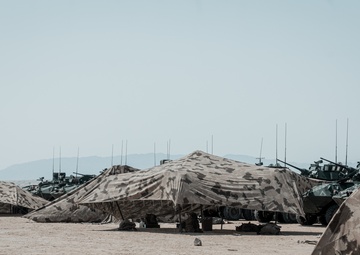 Individual Marksmanship Assessment