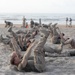 2nd MLG Corporals Leadership School Beach Shamrock