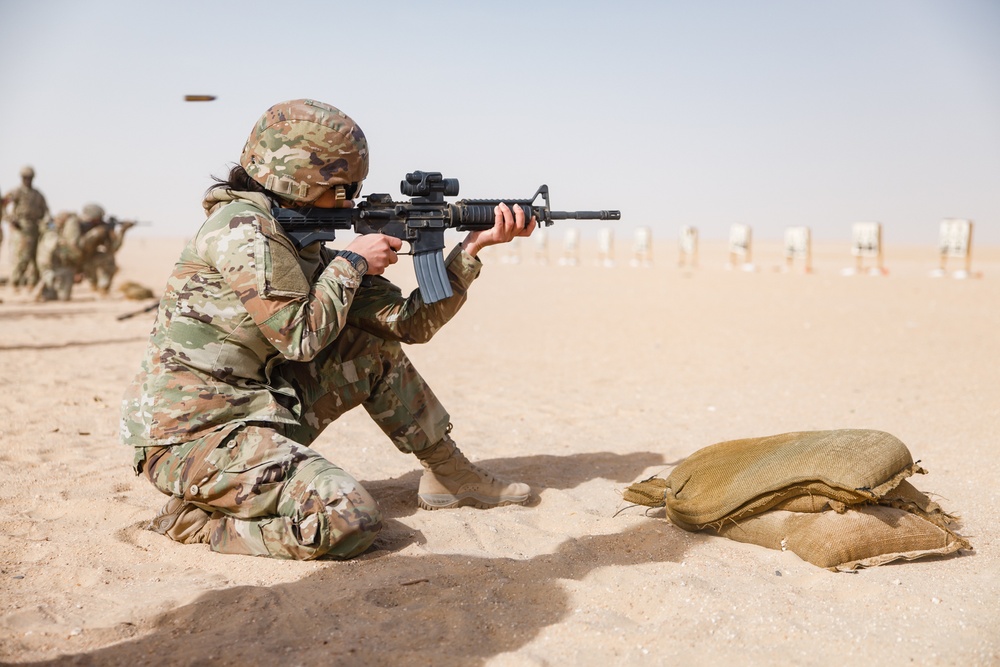 Ten 17th Sustainment Brigade Soldiers Earn German Marksmanship Badge