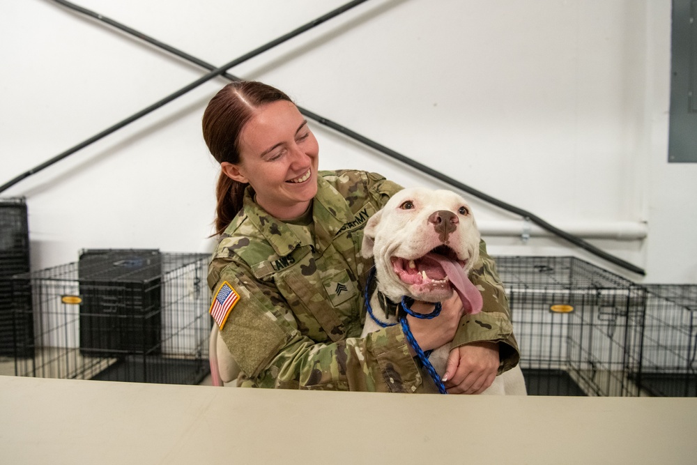 Operation Healthy Tennessee Veterinarian Services