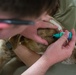 Operation Healthy Tennessee Veterinarian Services