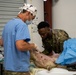 Operation Healthy Tennessee Veterinarian Services