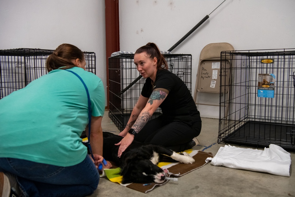 Operation Healthy Tennessee Veterinarian Services