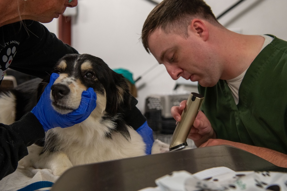 Operation Healthy Tennessee Veterinarian Services