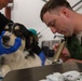 Operation Healthy Tennessee Veterinarian Services