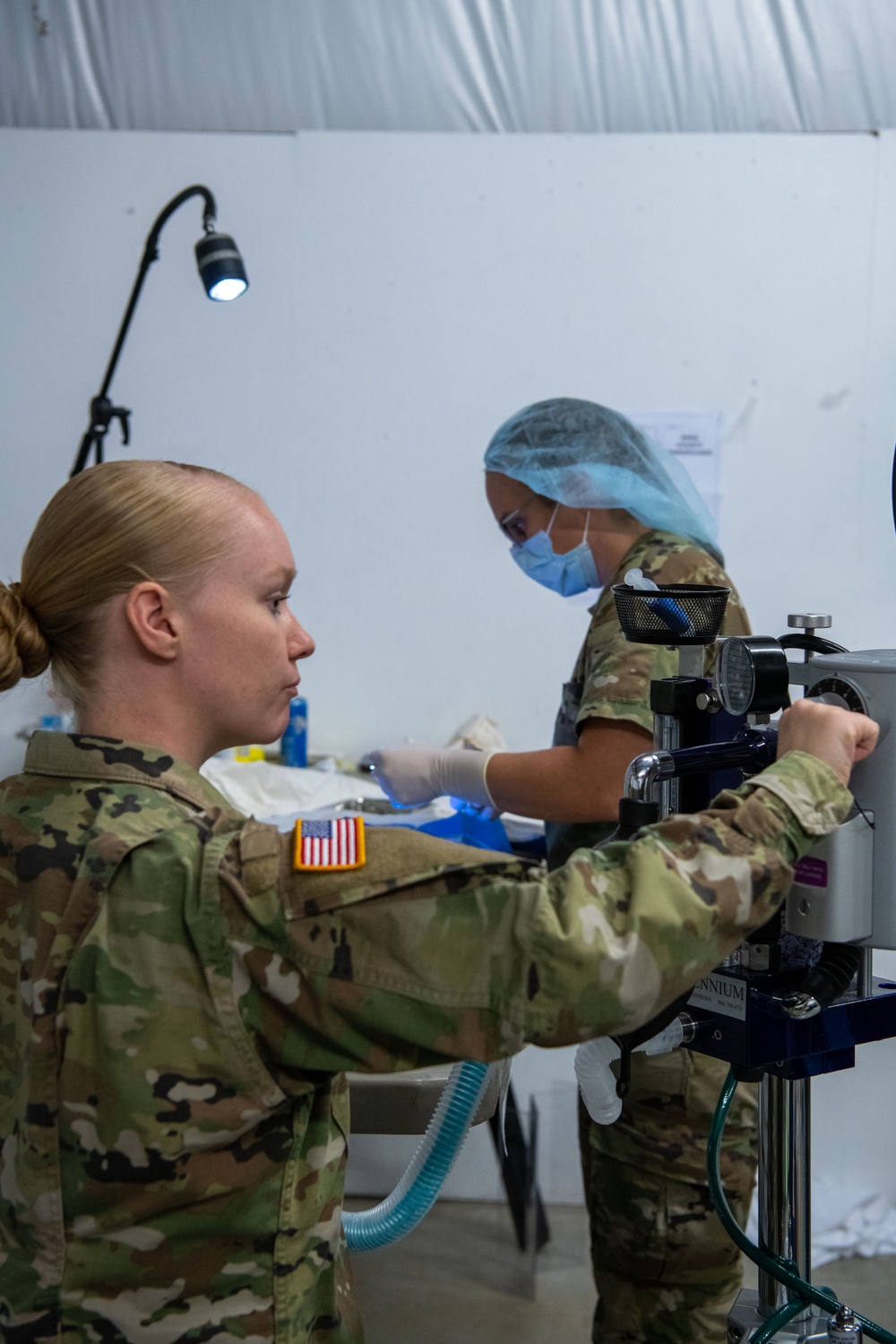 Operation Healthy Tennessee Veterinarian Services