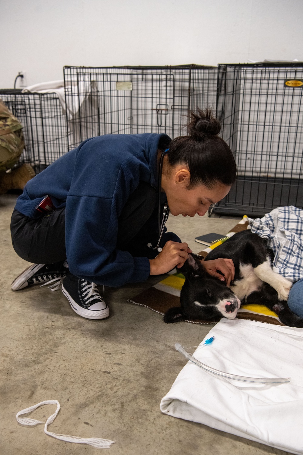 Operation Healthy Tennessee Veterinarian Services