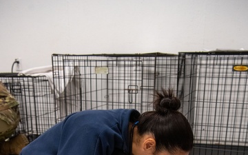 Operation Healthy Tennessee Veterinarian Services