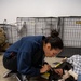 Operation Healthy Tennessee Veterinarian Services