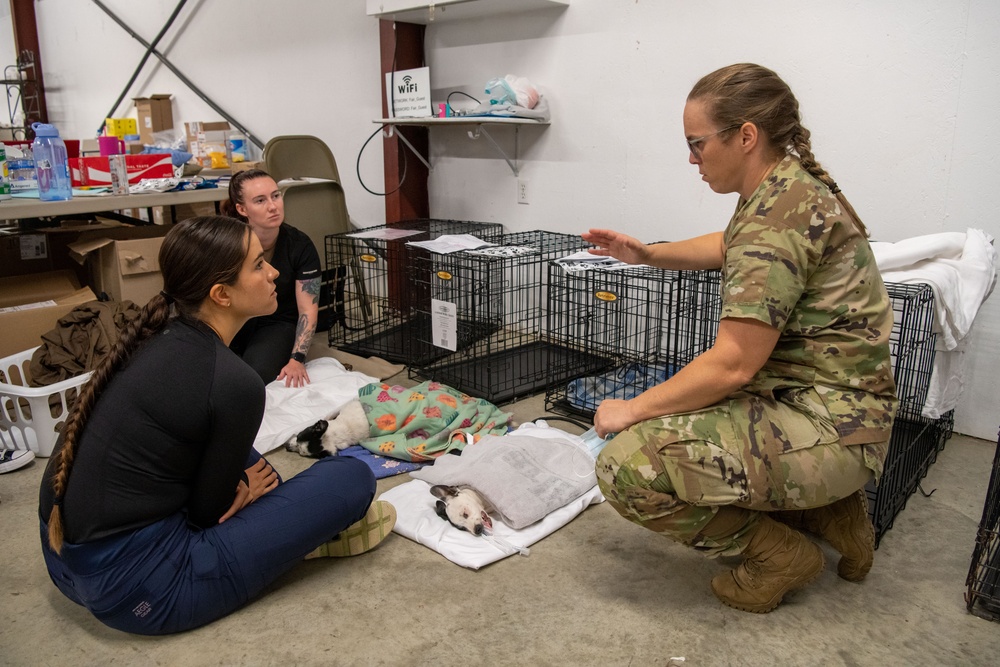 Operation Healthy Tennessee Veterinarian Services