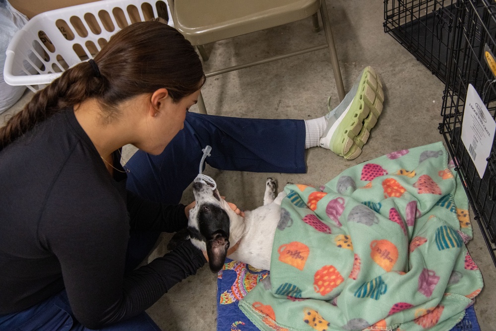 Operation Healthy Tennessee Veterinarian Services