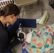 Operation Healthy Tennessee Veterinarian Services