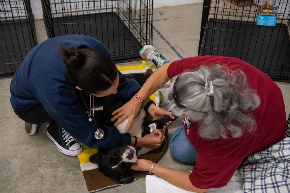 Operation Healthy Tennessee Veterinarian Services